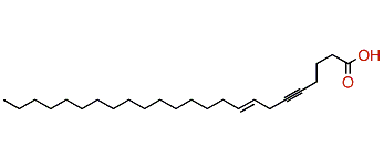 (E)-Tetracos-8-en-5-ynoic acid